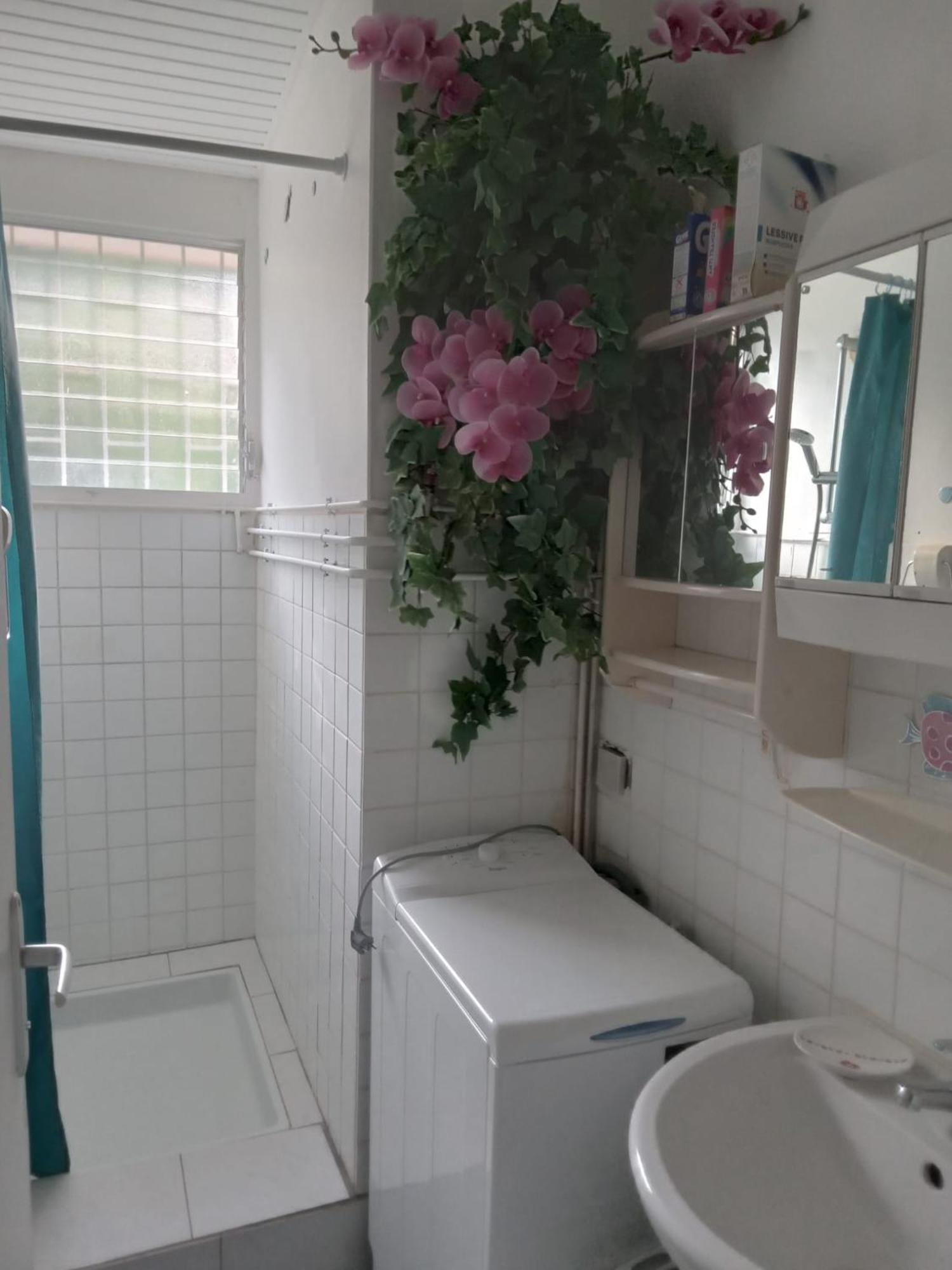 생트안느 Les Orchidees 아파트 외부 사진